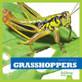 Grasshoppers - 9781620311622 by Mari Schuh, 9781620311622