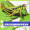 Grasshoppers - 9781620311622 by Mari Schuh, 9781620311622