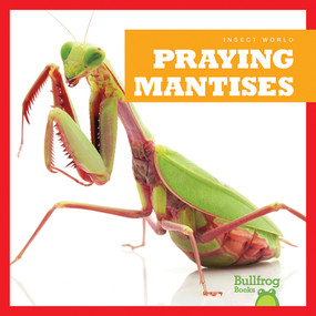 Praying Mantises - 9781620311639 by Mari Schuh, 9781620311639