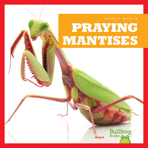 Praying Mantises - 9781620311639 by Mari Schuh, 9781620311639