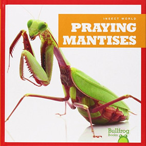 Praying Mantises - 9781620311639 by Mari Schuh, 9781620311639