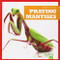 Praying Mantises - 9781620311639 by Mari Schuh, 9781620311639