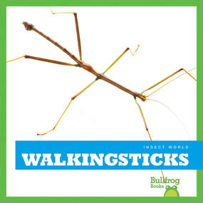 Walkingsticks - 9781620311653 by Mari Schuh, 9781620311653