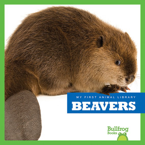Beavers - 9781620311738 by Mari Schuh, 9781620311738