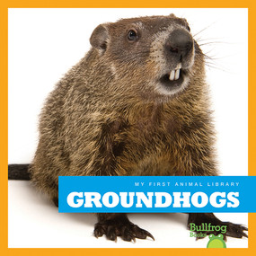 Groundhogs by Cari Meister, 9781620311677