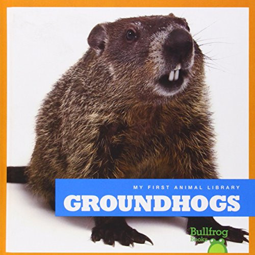 Groundhogs by Cari Meister, Dana Flemming, 9781620311677