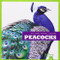 Peacocks - 9781620311684 by Cari Meister, Dana Flemming, 9781620311684