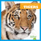Tigers - 9781620311691 by Cari Meister, 9781620311691