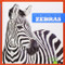 Zebras - 9781620311714 by Cari Meister, 9781620311714