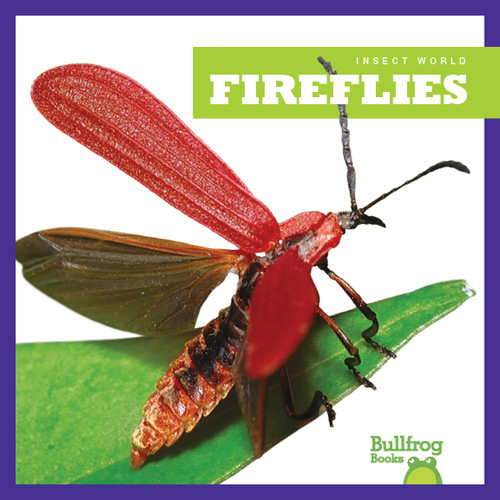 Fireflies - 9781620310847 by Mari Schuh, 9781620310847