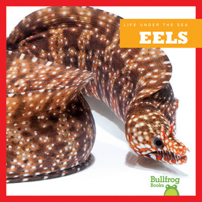 Eels - 9781620310977 by Cari Meister, 9781620310977