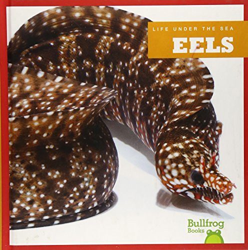 Eels - 9781620310977 by Cari Meister, 9781620310977
