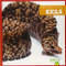 Eels - 9781620310977 by Cari Meister, 9781620310977