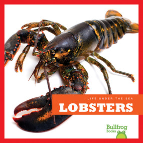 Lobsters - 9781620310991 by Cari Meister, 9781620310991