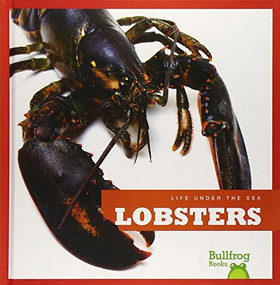 Lobsters - 9781620310991 by Cari Meister, 9781620310991