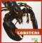 Lobsters - 9781620310991 by Cari Meister, 9781620310991
