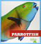 Parrotfish - 9781620311004 by Cari Meister, 9781620311004