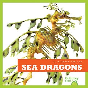 Sea Dragons by Cari Meister, 9781620311011