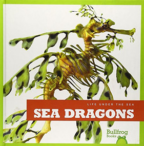 Sea Dragons by Cari Meister, 9781620311011