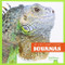 Iguanas - 9781620311103 by Mari Schuh, 9781620311103