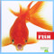 Fish - 9781620311233 by Cari Meister, Dana Flemming, 9781620311233
