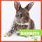 Rabbits - 9781620311257 by Cari Meister, Dana Flemming, 9781620311257