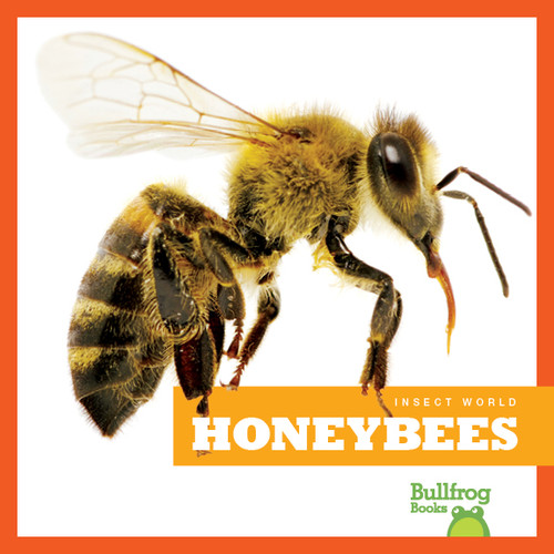 Honeybees - 9781620310519 by Mari Schuh, 9781620310519