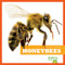 Honeybees - 9781620310519 by Mari Schuh, 9781620310519