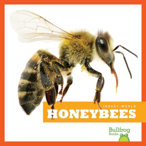 Honeybees - 9781620310519 by Mari Schuh, 9781620310519