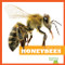 Honeybees - 9781620310519 by Mari Schuh, 9781620310519