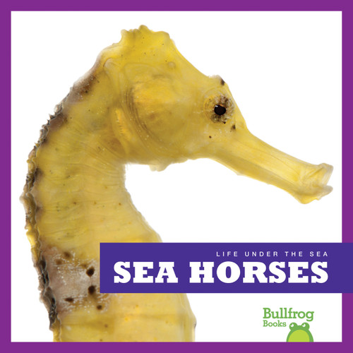 Sea Horses - 9781620310335 by Cari Meister, 9781620310335