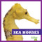 Sea Horses - 9781620310335 by Cari Meister, 9781620310335