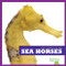 Sea Horses - 9781620310335 by Cari Meister, Dana Flemming, 9781620310335