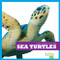 Sea Turtles - 9781620310342 by Cari Meister, Dana Flemming, 9781620310342