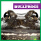 Bullfrogs - 9781620310731 by Martha E. H. Rustad, 9781620310731
