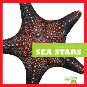 Sea Stars - 9781620310120 by Cari Meister, 9781620310120