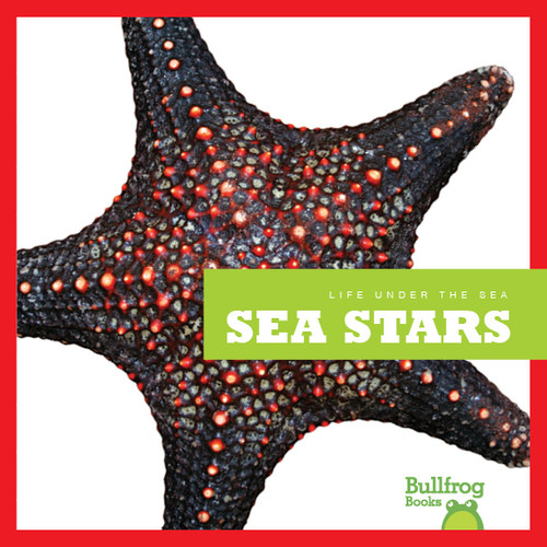 Sea Stars - 9781620310120 by Cari Meister, 9781620310120