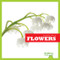 Flowers - 9781620314463 by Rebecca Stromstad Glaser, 9781620314463