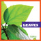Leaves - 9781620314470 by Rebecca Stromstad Glaser, 9781620314470
