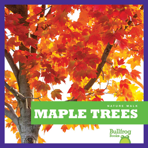 Maple Trees - 9781620314487 by Rebecca Stromstad Glaser, 9781620314487