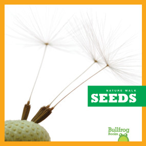 Seeds - 9781620314517 by Rebecca Stromstad Glaser, 9781620314517