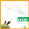 Seeds - 9781620314517 by Rebecca Stromstad Glaser, 9781620314517