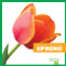 Spring - 9781620314531 by Emily C. Dawson, 9781620314531