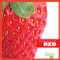 Red - 9781620314371 by Rebecca Stromstad Glaser, 9781620314371