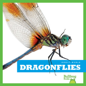 Dragonflies - 9781620314685 by Mari Schuh, 9781620314685