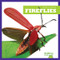Fireflies - 9781620314692 by Mari Schuh, 9781620314692