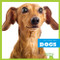 Dogs - 9781620311431 by Cari Meister, Dana Flemming, 9781620311431