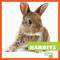 Rabbits - 9781620311479 by Cari Meister, 9781620311479