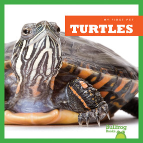 Turtles - 9781620311486 by Cari Meister, 9781620311486