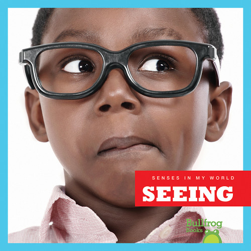 Seeing - 9781620311509 by Martha E.H. Rustad, 9781620311509